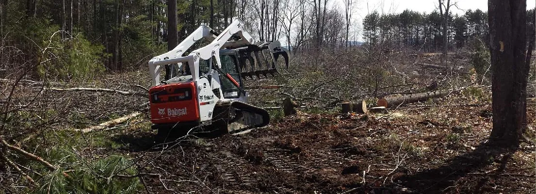 Crane Assisted Tree Removal